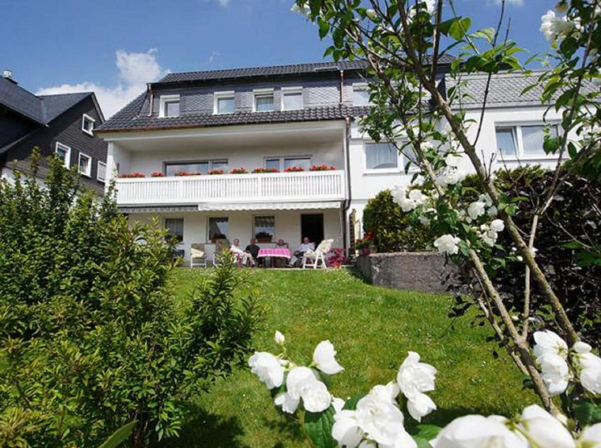 Pension Braun Winterberg Eksteriør billede